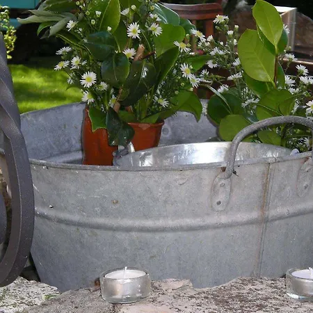 La Casa Del Huerto * Quintanilla-Vivar