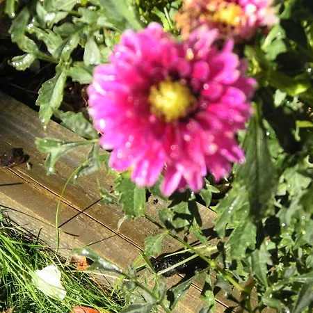 La Casa Del Huerto Hotel Quintanilla-Vivar