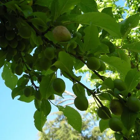 La Casa Del Huerto Quintanilla-Vivar