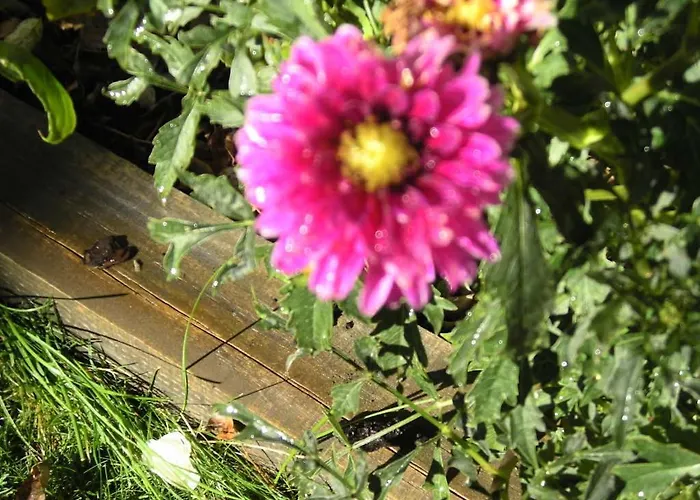 La Casa Del Huerto Hotel Quintanilla-Vivar