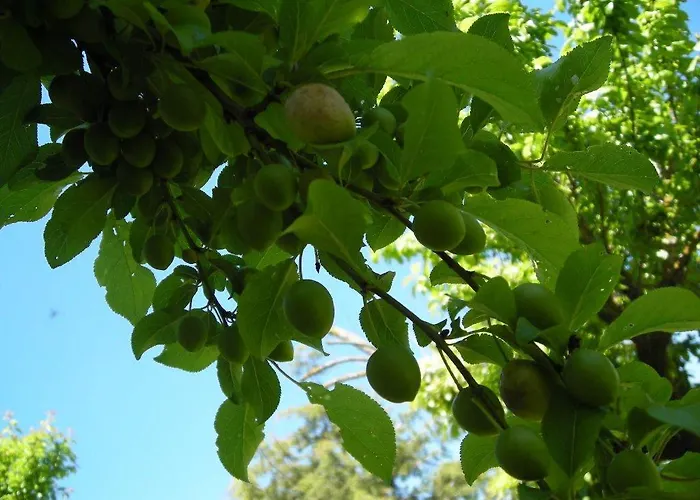 La Casa Del Huerto Quintanilla-Vivar